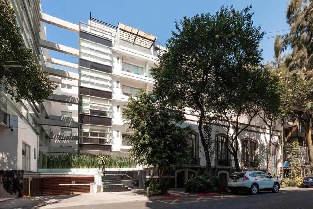 Beautiful Loft. King Size Bed. 150 Mbps Internet. Mexico-stad