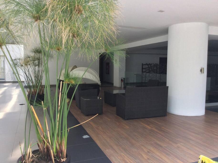 Appartement Beautiful Loft. King Size Bed. 150 Mbps Internet. Mexico-stad